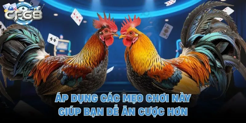 Áp dụng các mẹo chơi này giúp bạn dễ ăn cược hơn