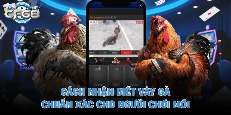 Cách nhận biết vảy gà
