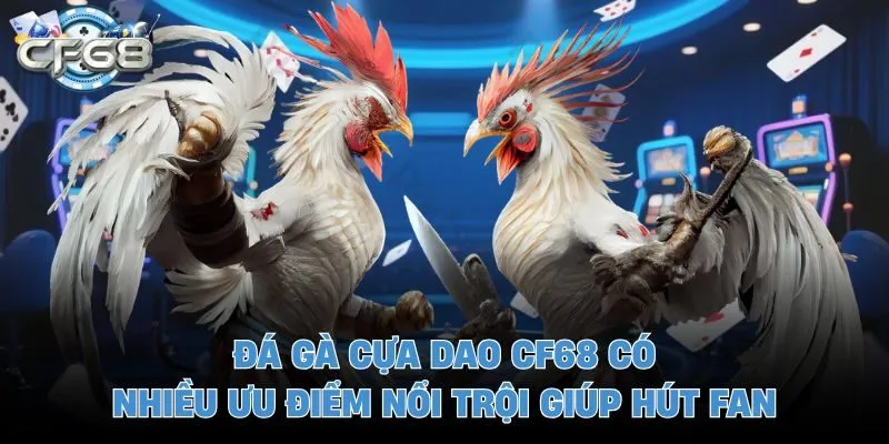 Đá gà cựa dao CF68 có nhiều ưu điểm nổi trội giúp hút fan