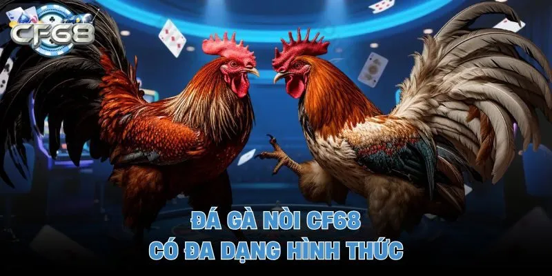 Đá gà nòi CF68 có đa dạng hình thức