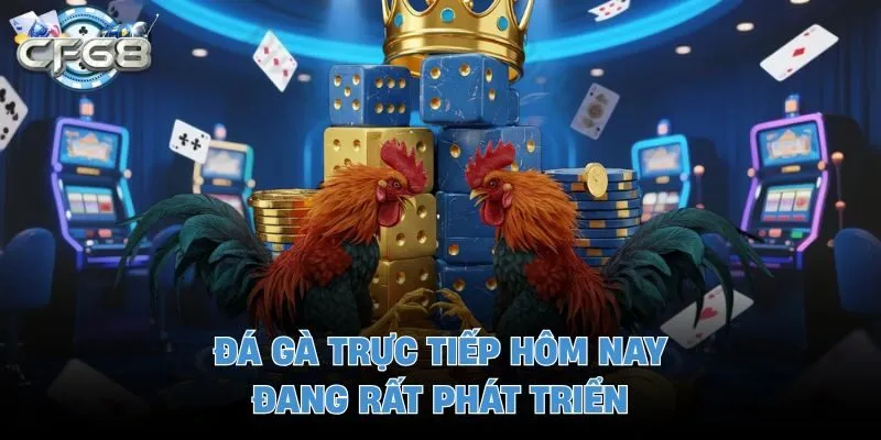 Đá gà trực tiếp hôm nay đang rất phát triển 