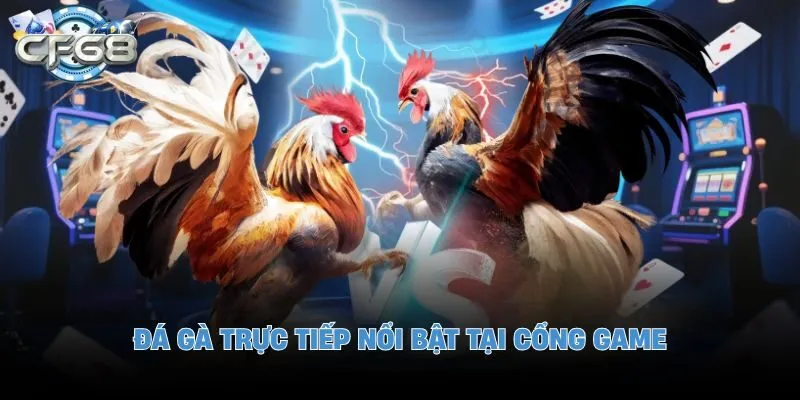 Đá gà trực tiếp nổi bật tại cổng game CF 68