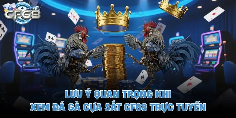 Lưu ý quan trọng khi xem đá gà cựa sắt CF68 trực tuyến 