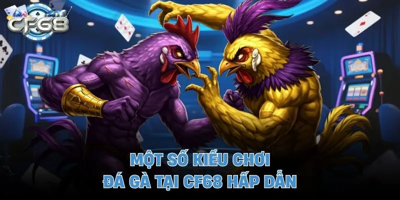 Một số kiểu chơi đá gà tại CF68 hấp dẫn