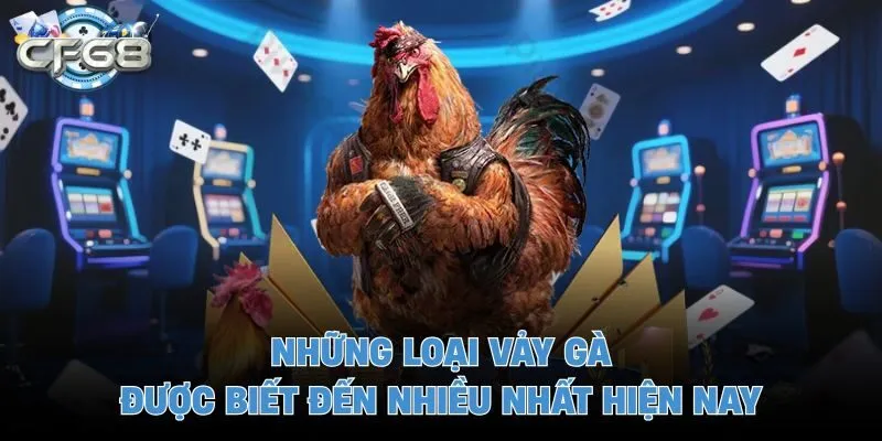 Những loại vảy gà được biết đến nhiều nhất hiện nay