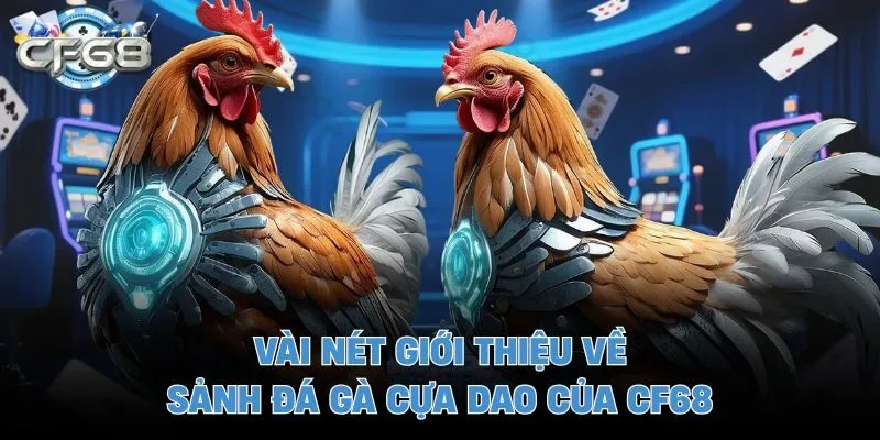 Vài nét giới thiệu về sảnh đá gà cựa dao của CF68